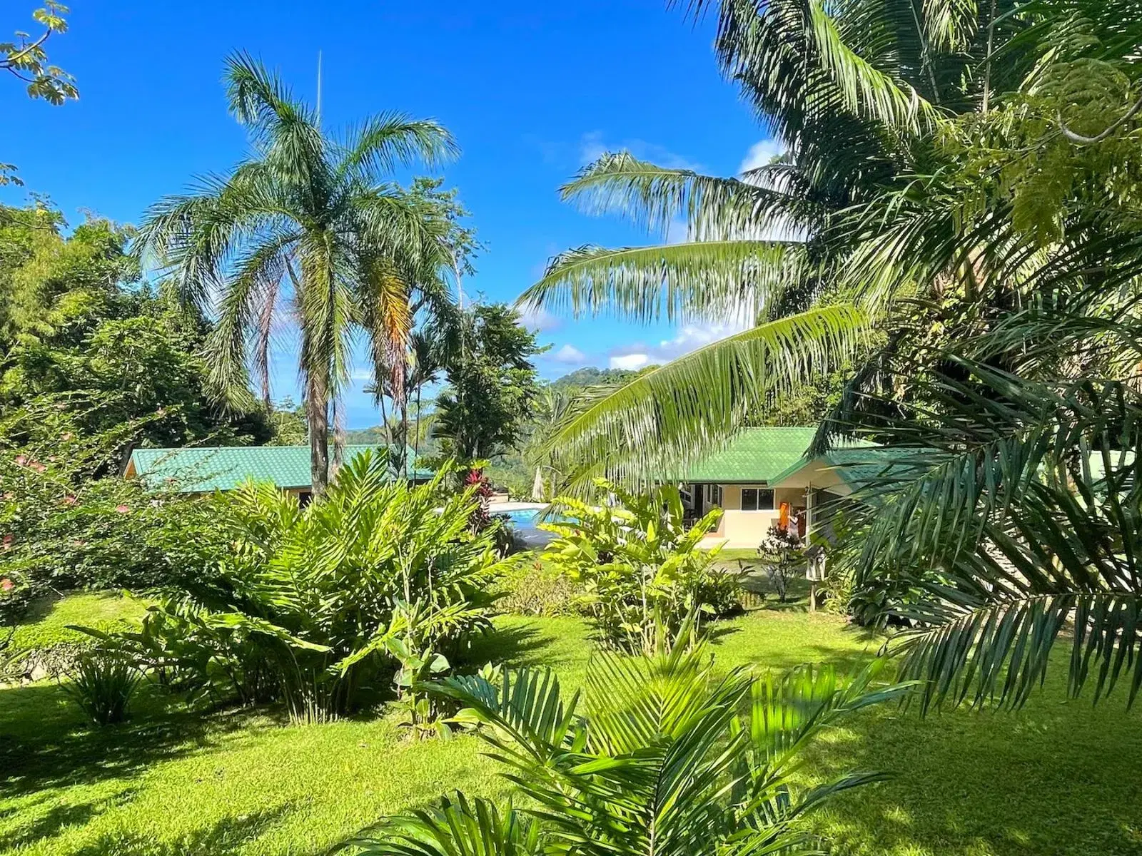 House at Quepos