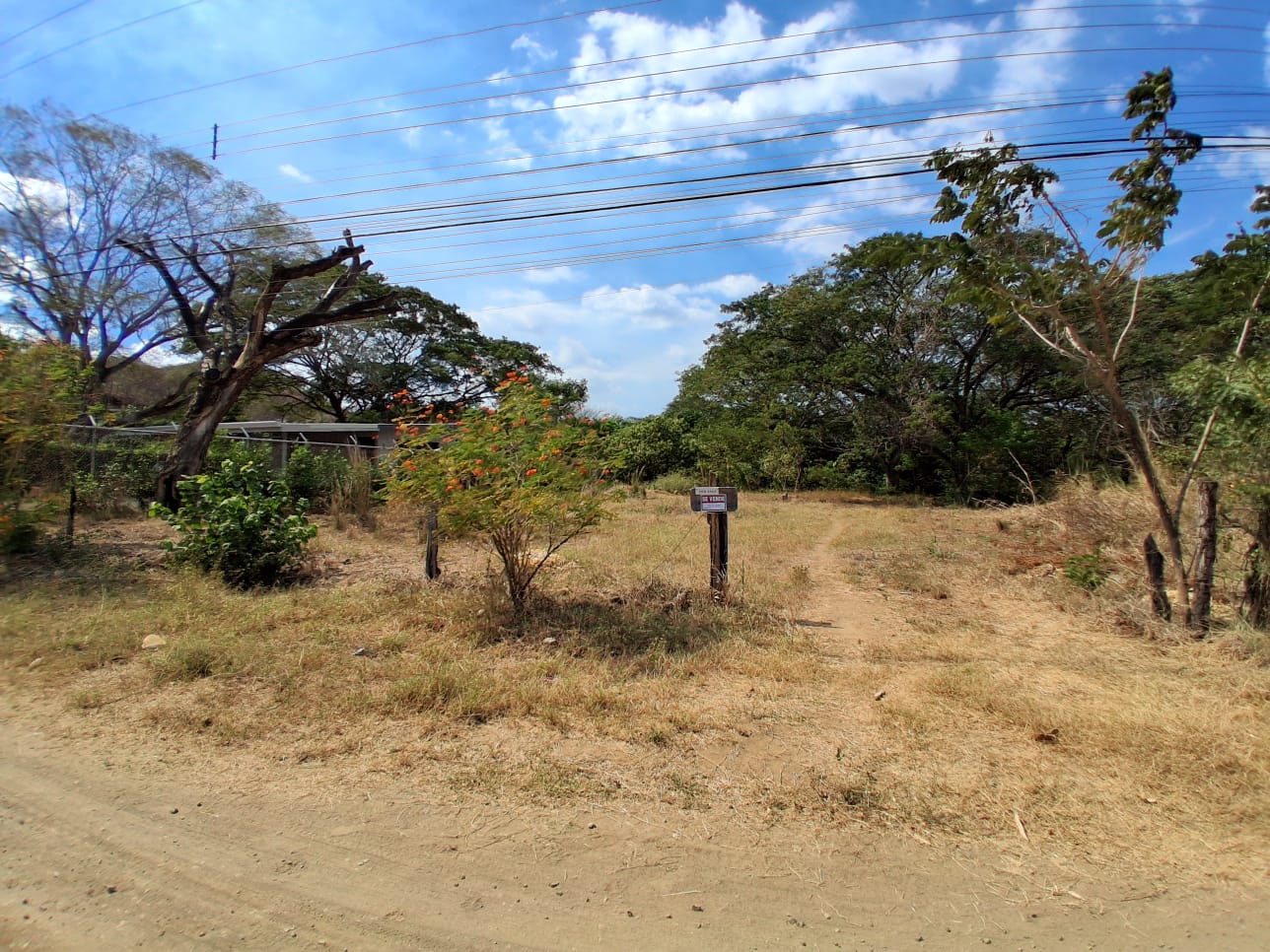 Land at Sardinal