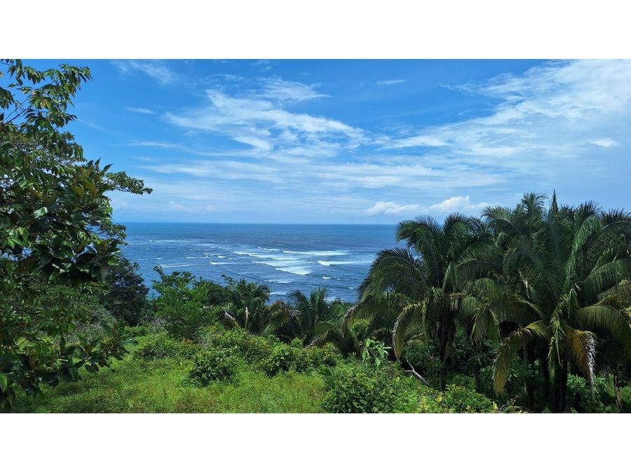 Finca en Parrita
