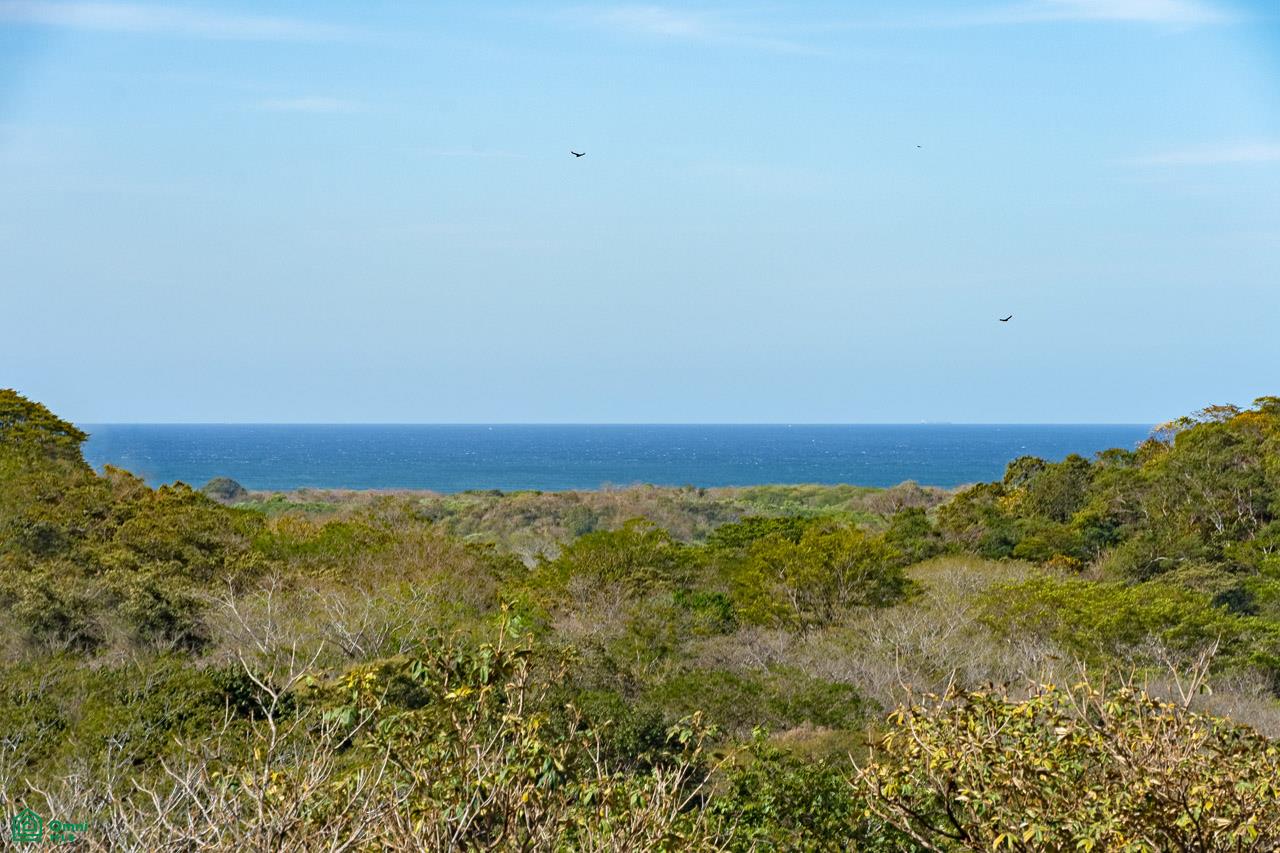 Terreno en Tamarindo