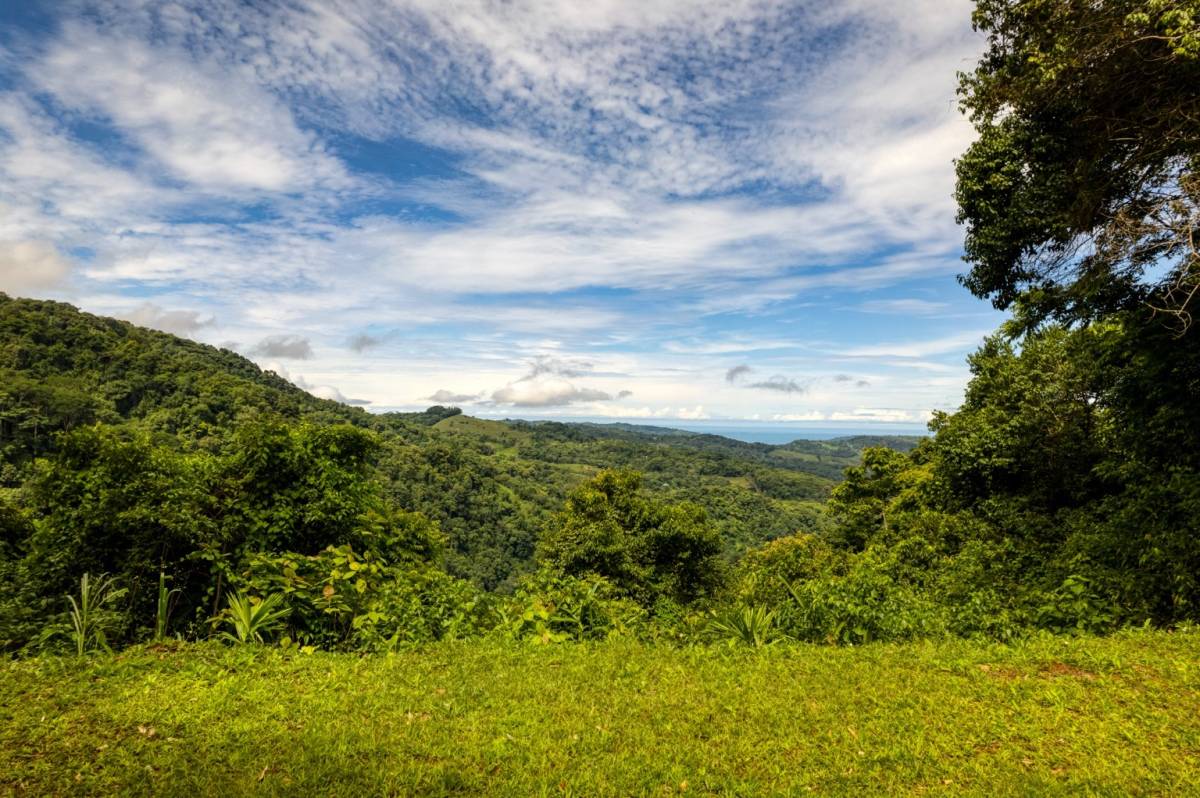 Property at Dominical