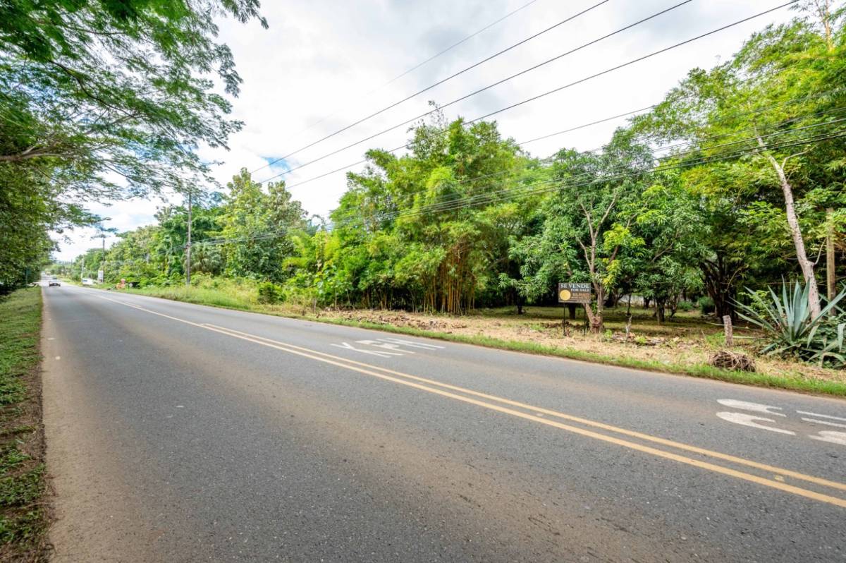 Propiedad en Tamarindo
