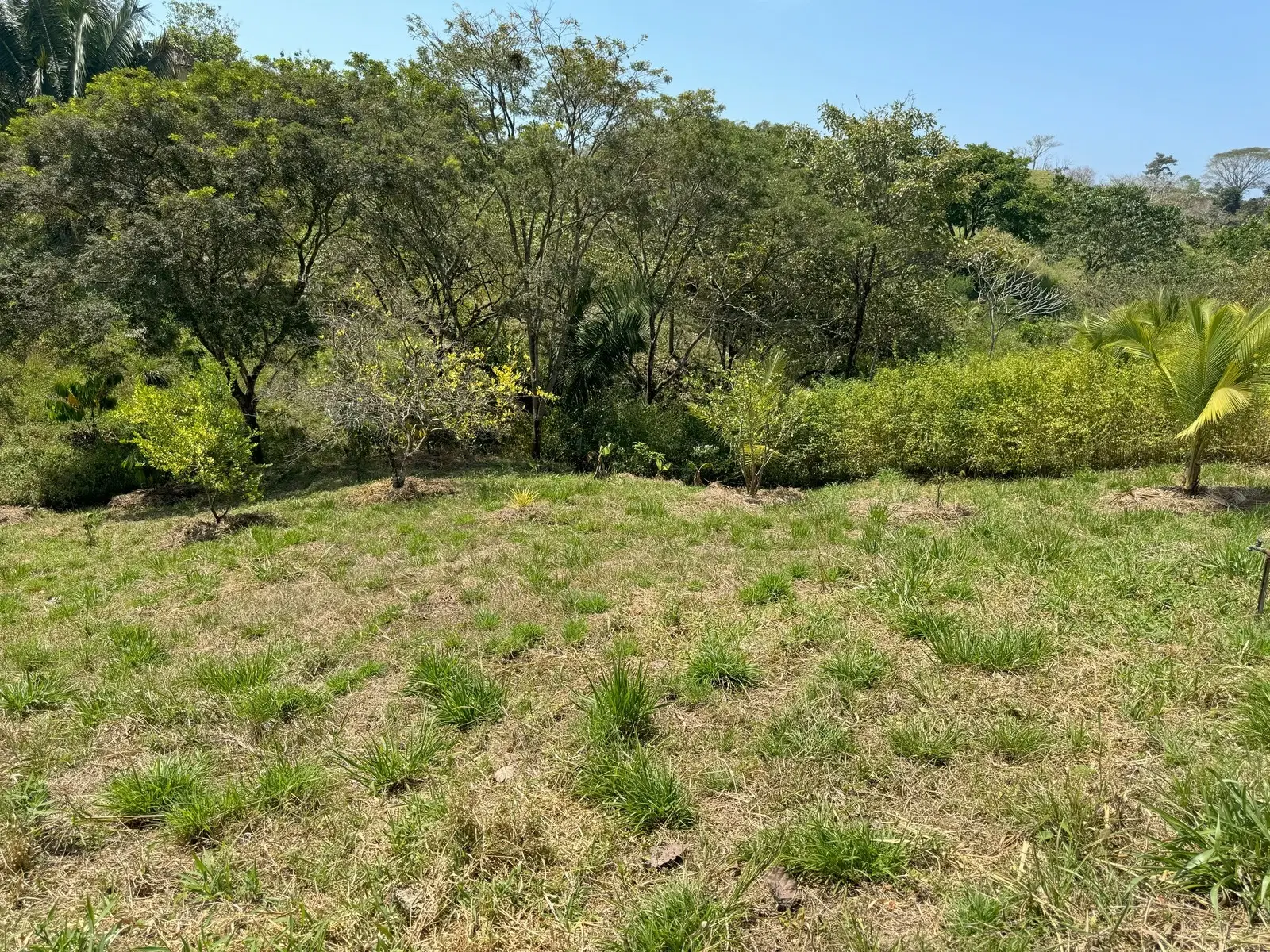 Terreno en Cóbano