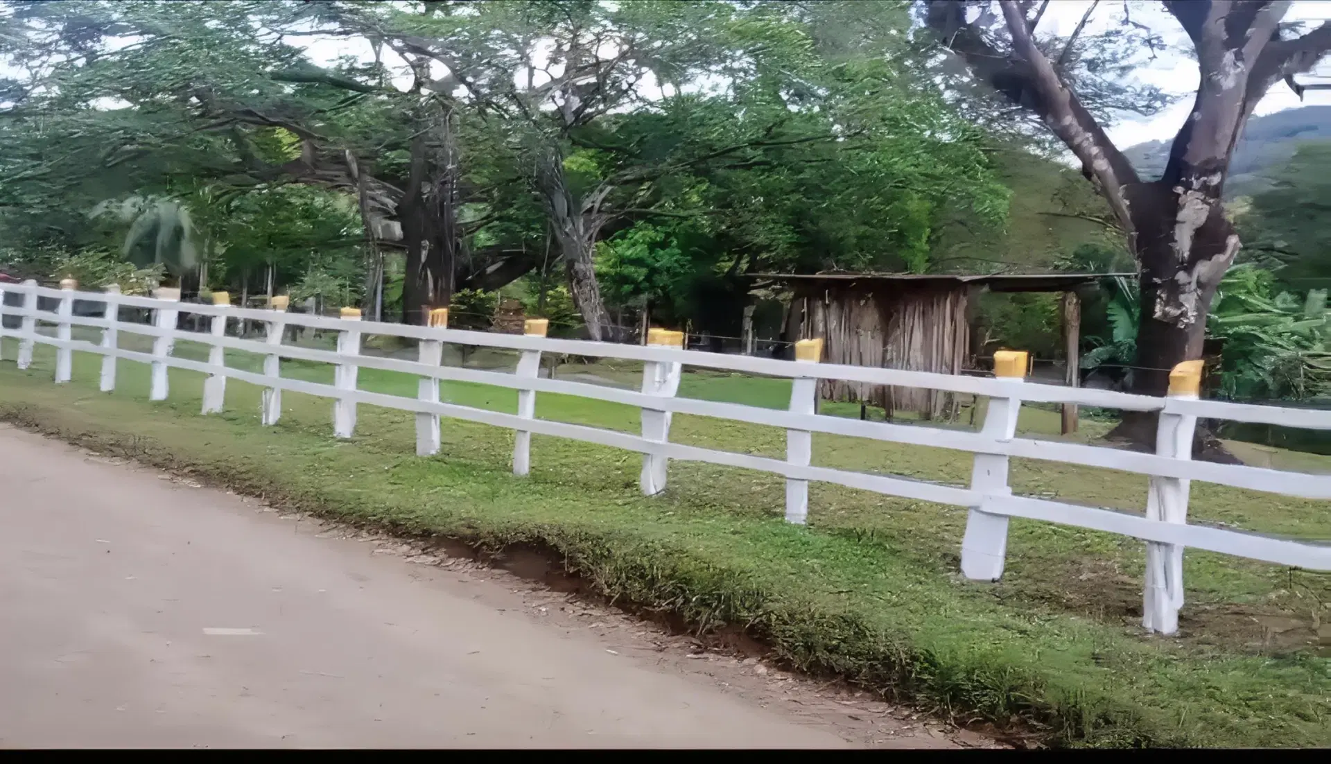 Property at Santa Cruz