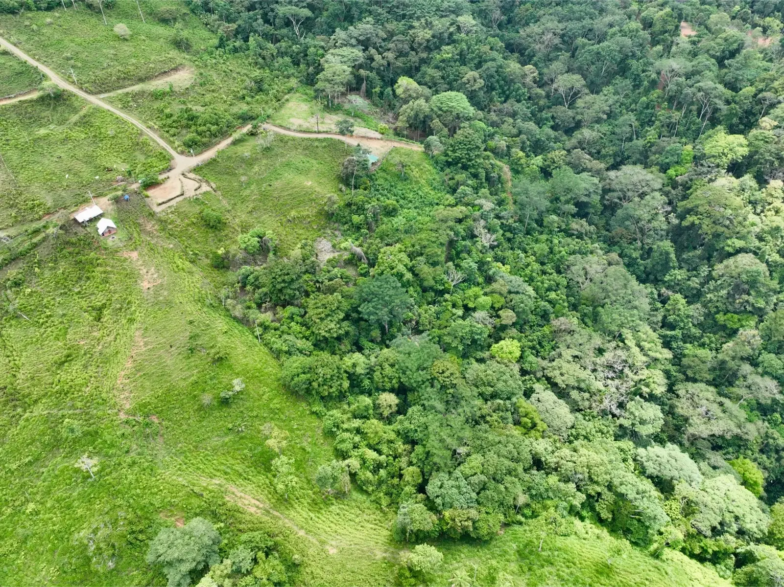 Terreno en Bahía Ballena