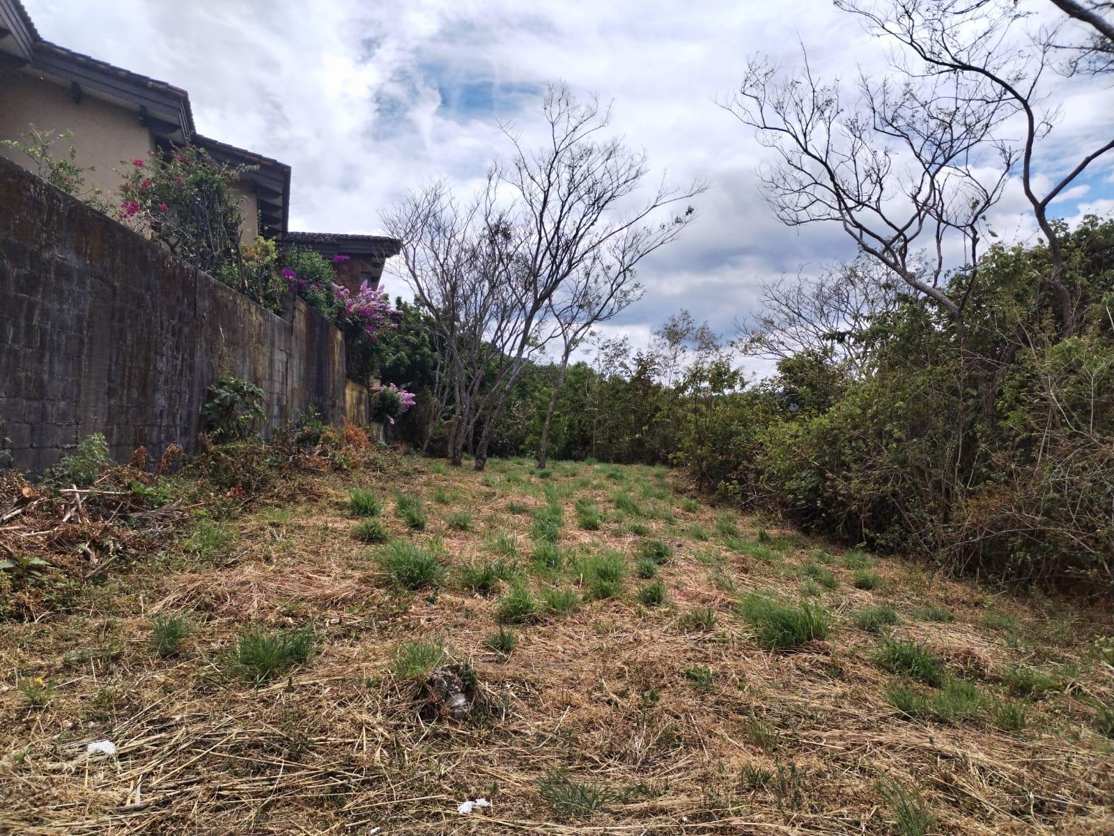Terreno en Colón