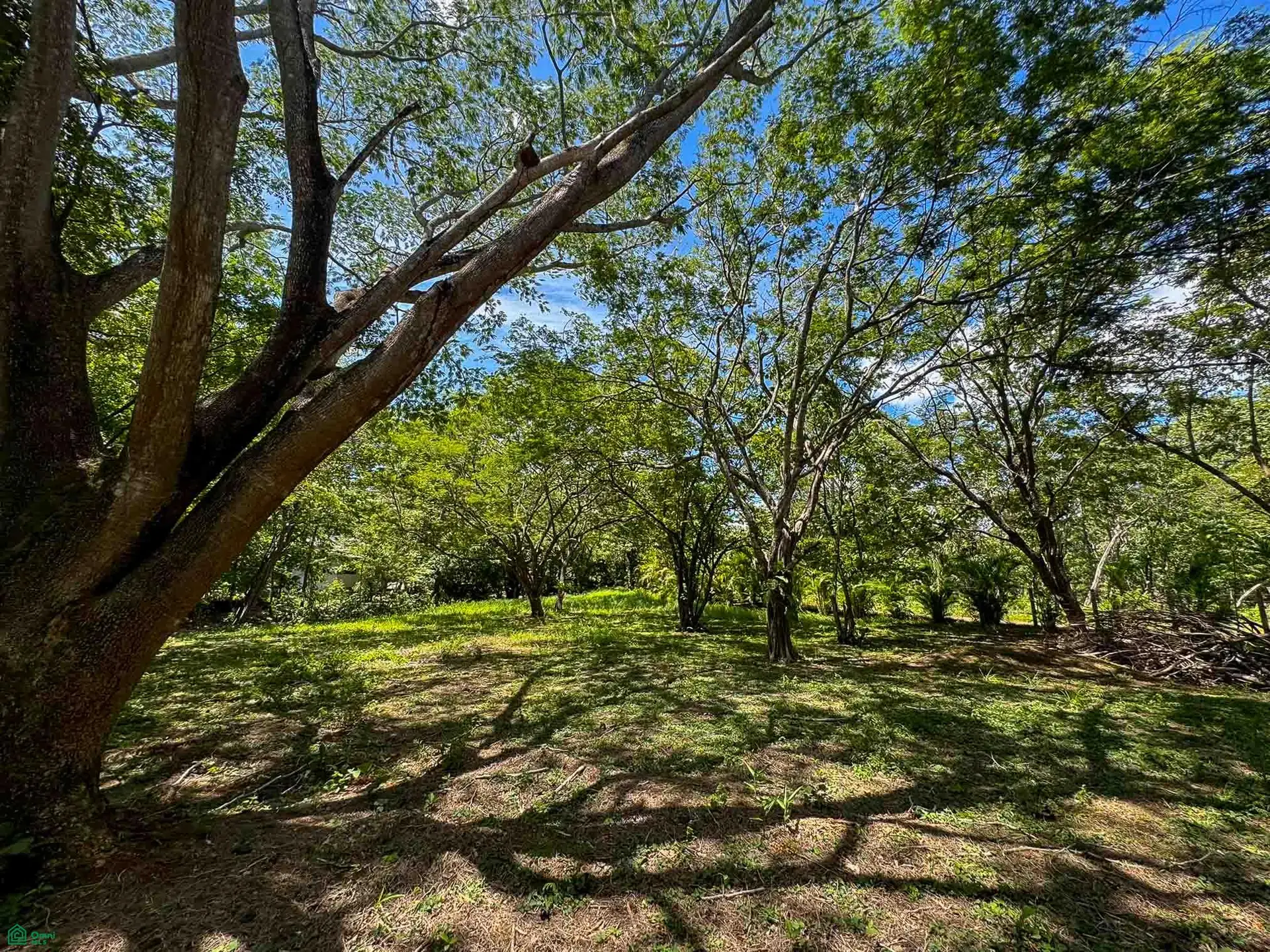 Land at Tamarindo