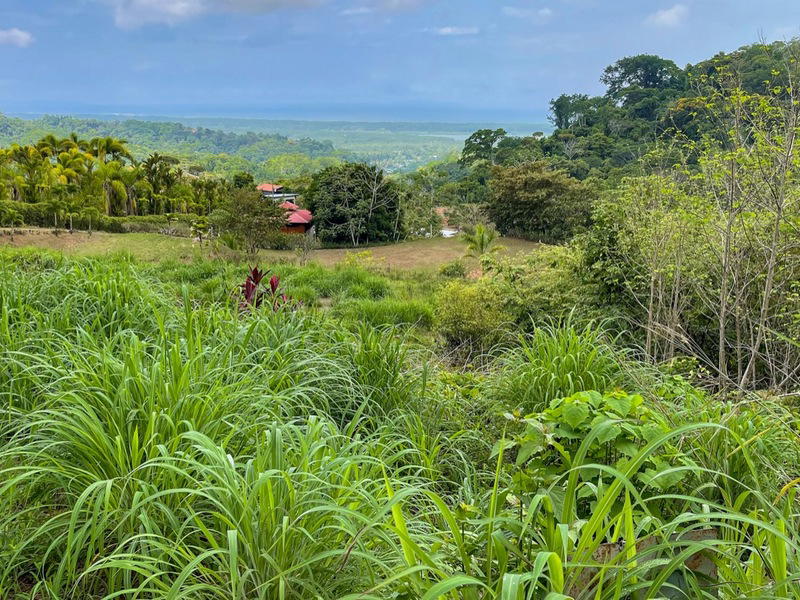 Land at Puerto Cortés