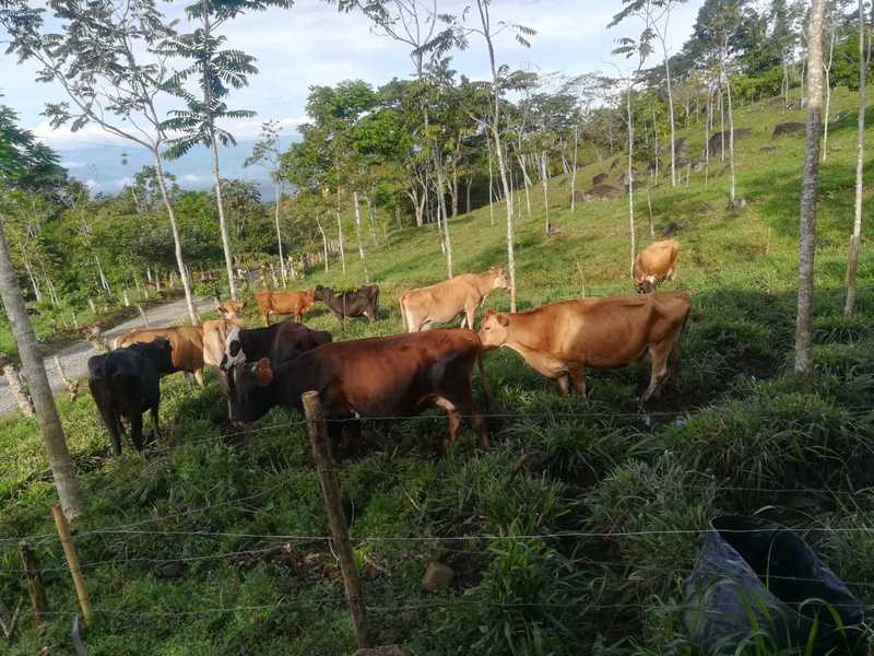 Land at Puntarenas