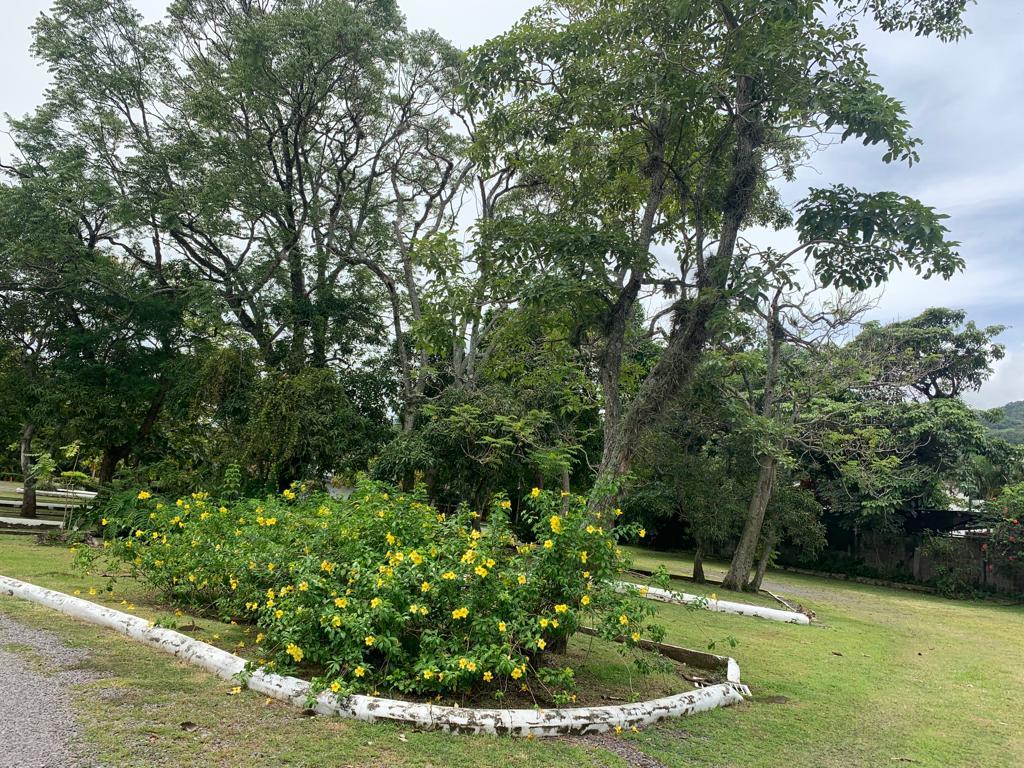 Property at Piedades