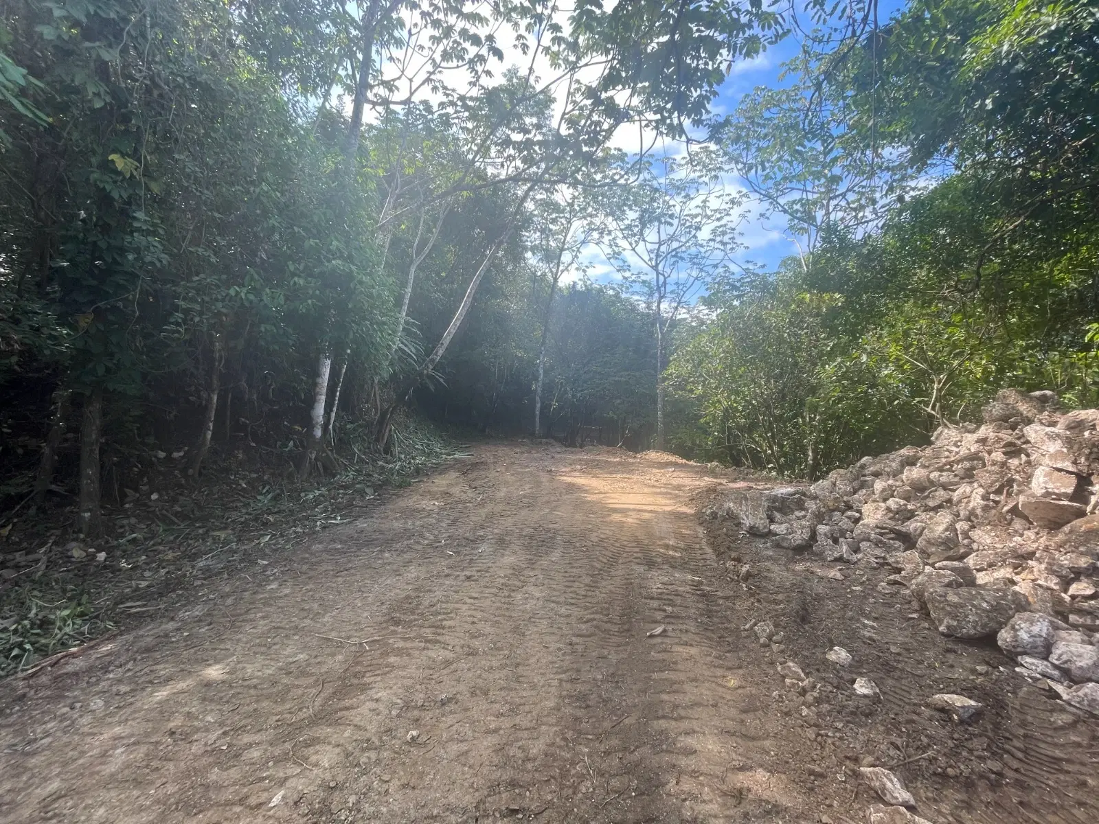 Terreno en Cóbano