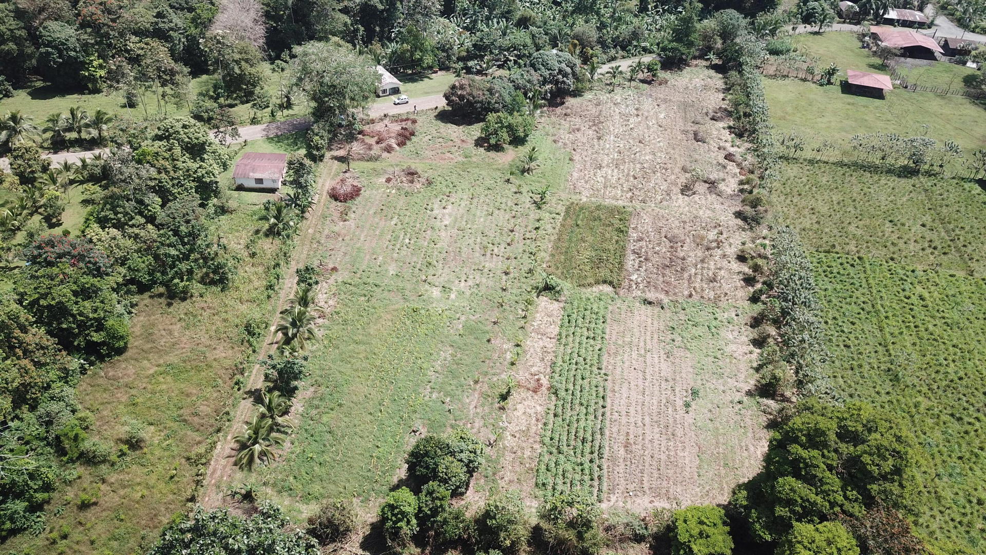 Property at Horquetas