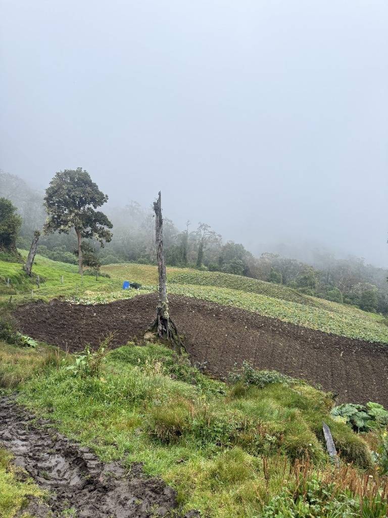 Finca en Santa Cruz