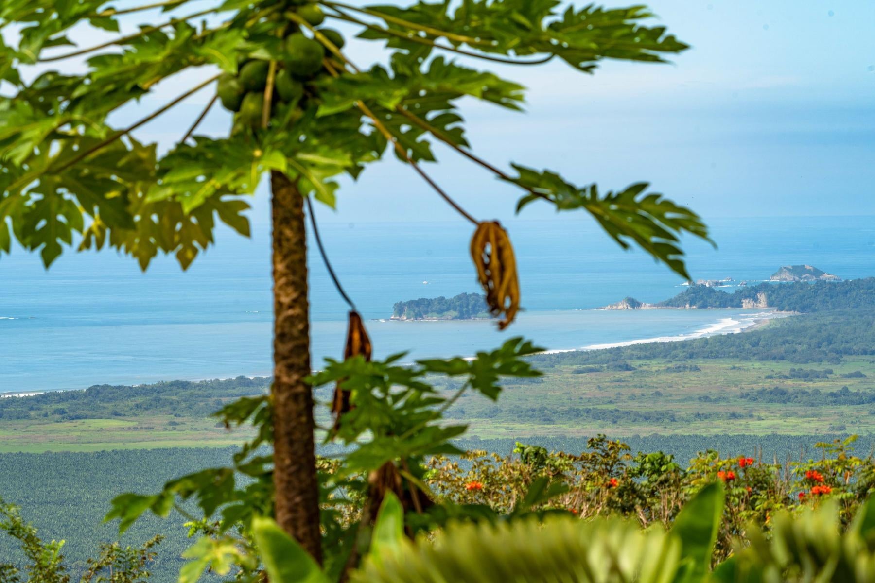 Casa en Quepos