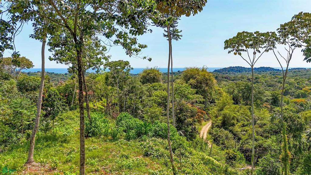 Land at Palmar