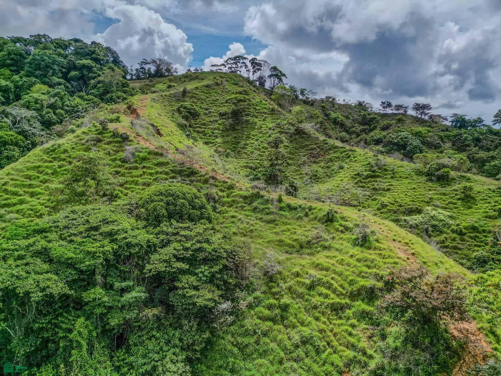 Terreno en Puntarenas