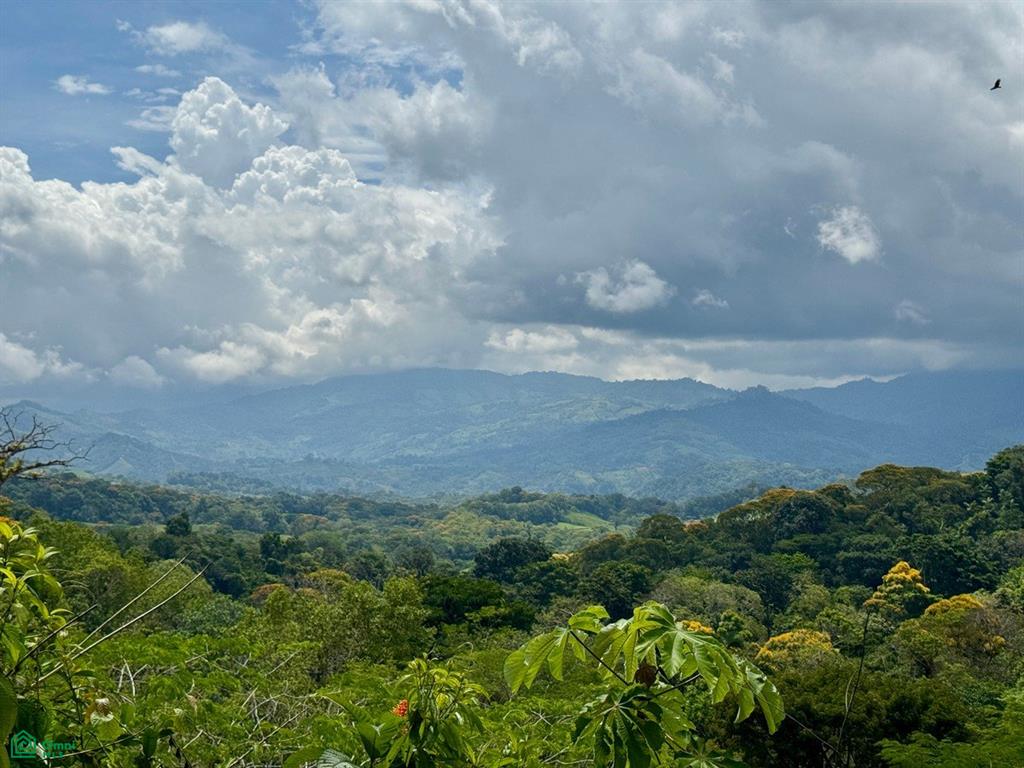 Land at Puntarenas