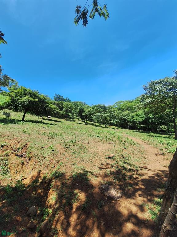 Terreno en La Cruz