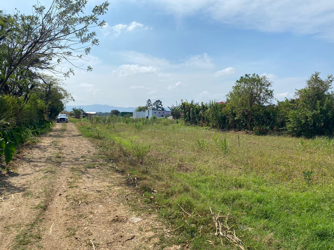 Property at Guácima