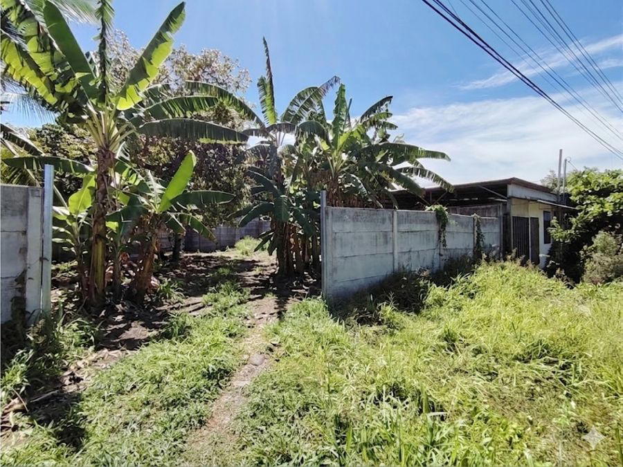 Terreno en Puerto Jiménez