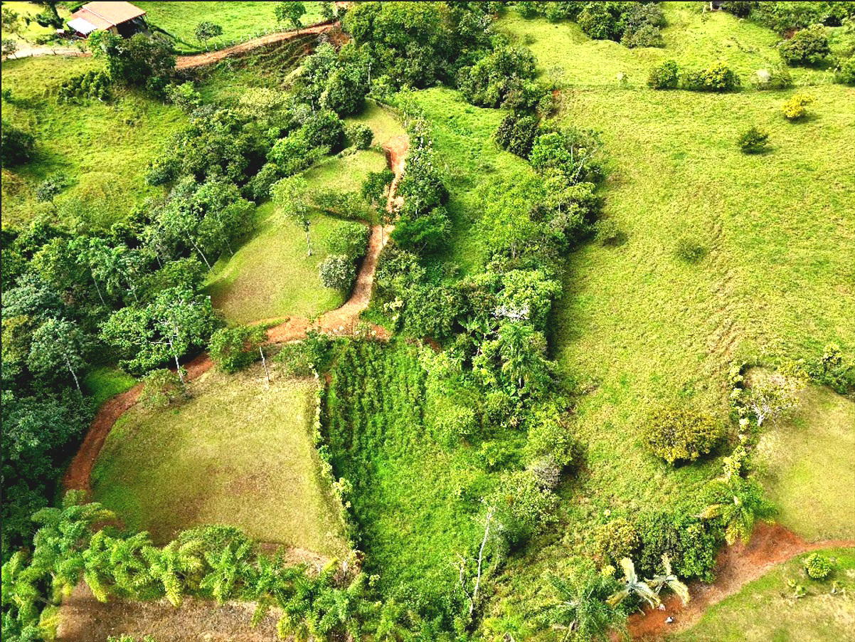 Terreno en San Isidro del General