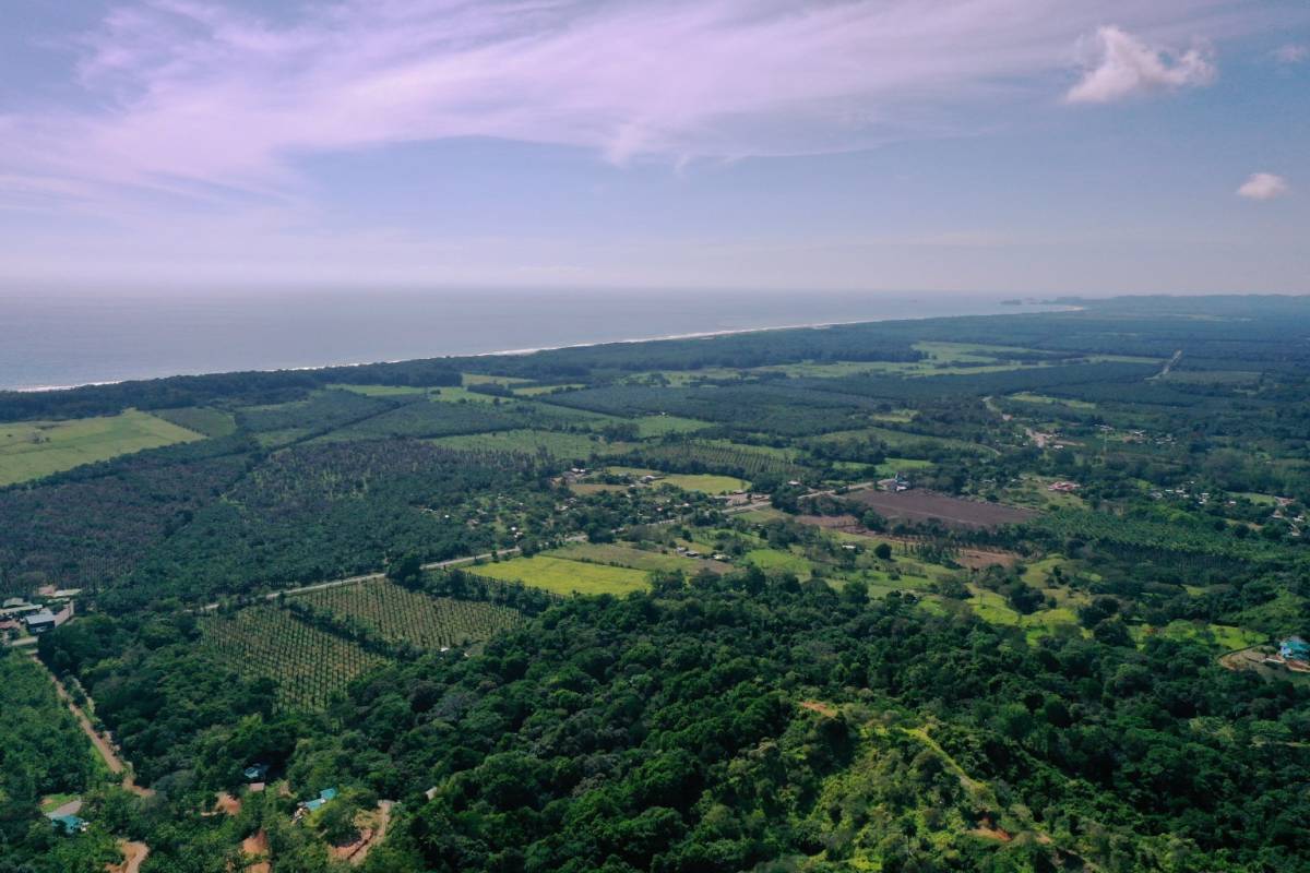 Finca en Palmar