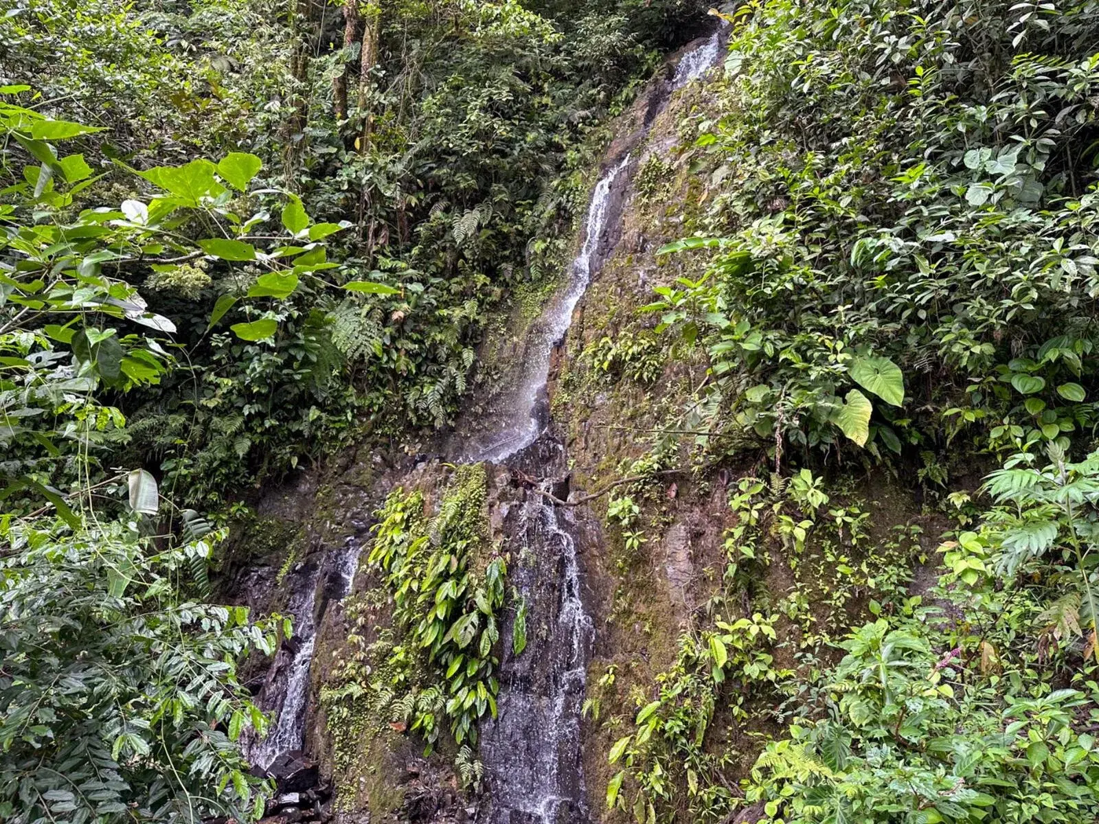 Land at El General