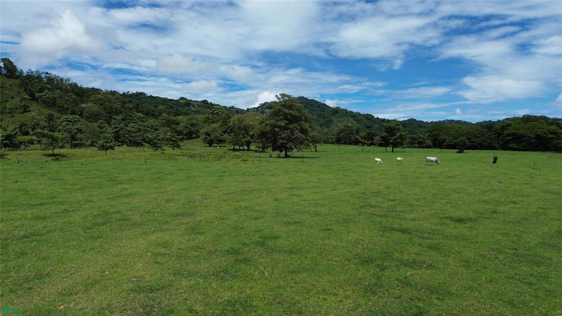 Terreno en Puntarenas