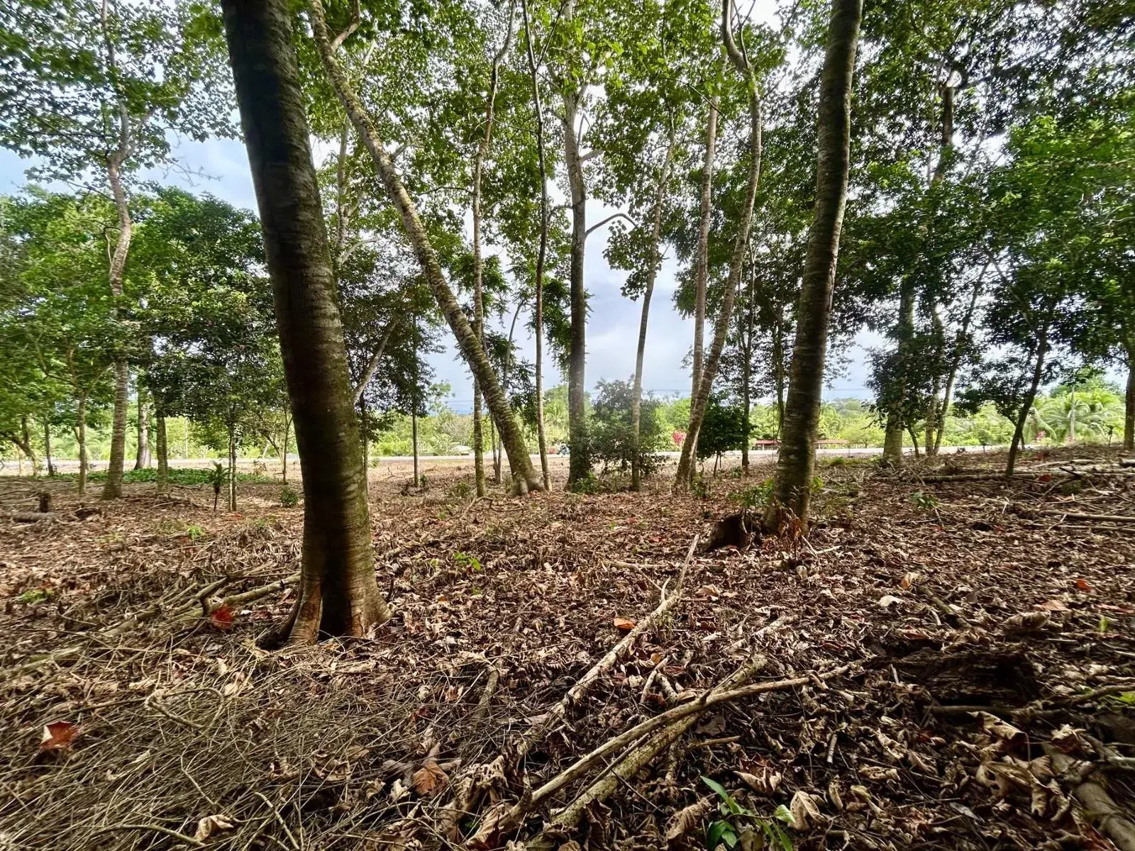 Terreno en Puerto Cortés