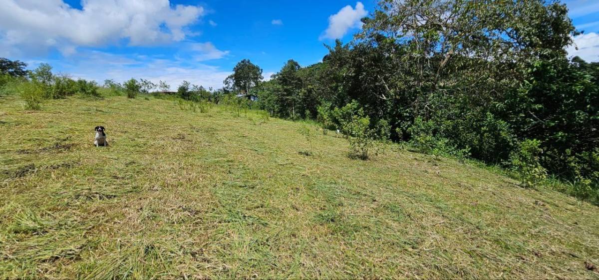 Propiedad en San Isidro