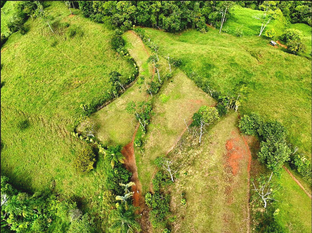 Land at San Isidro del General