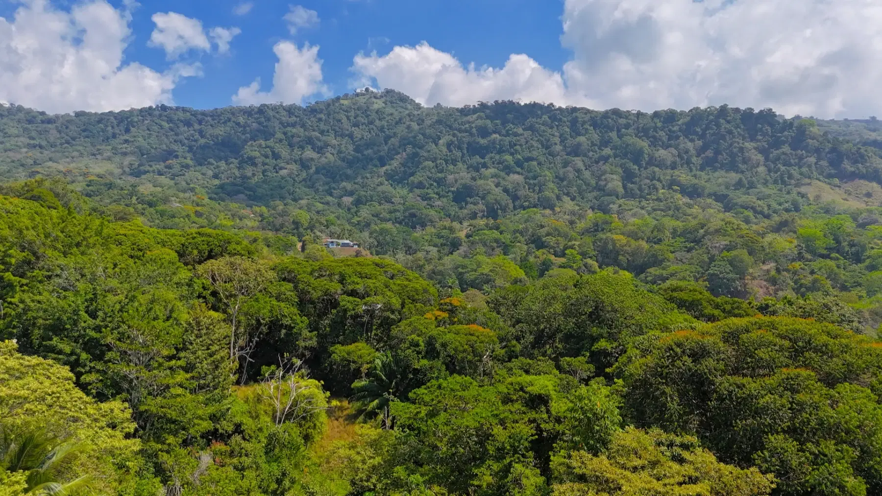 Terreno en Bahía Ballena