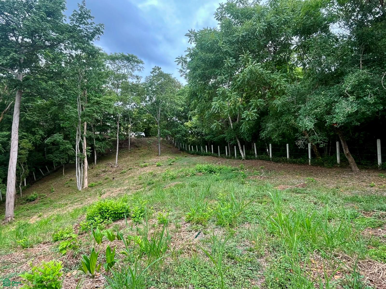 Terreno en Santa Cruz