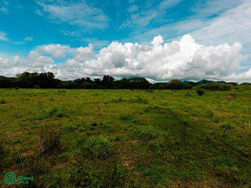 Property at Santa Cruz