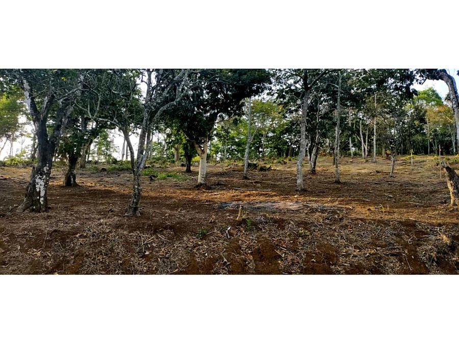 Terreno en Alajuela