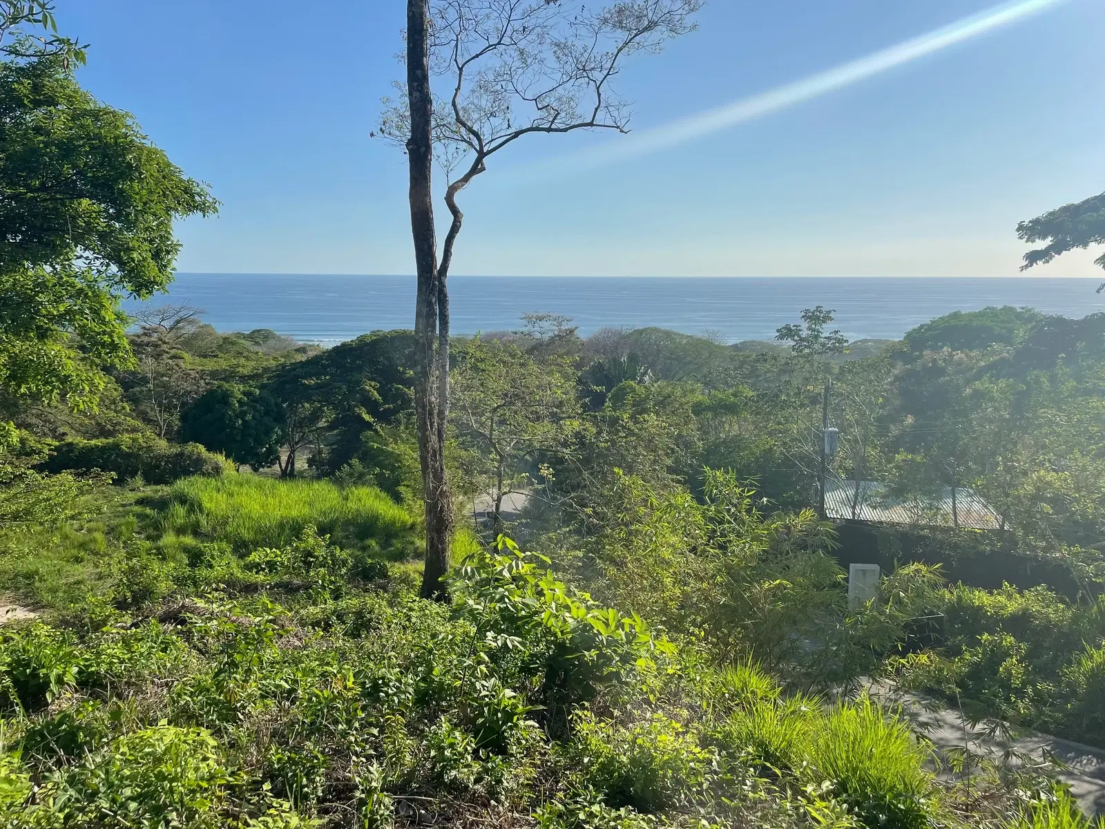 Land at Cóbano