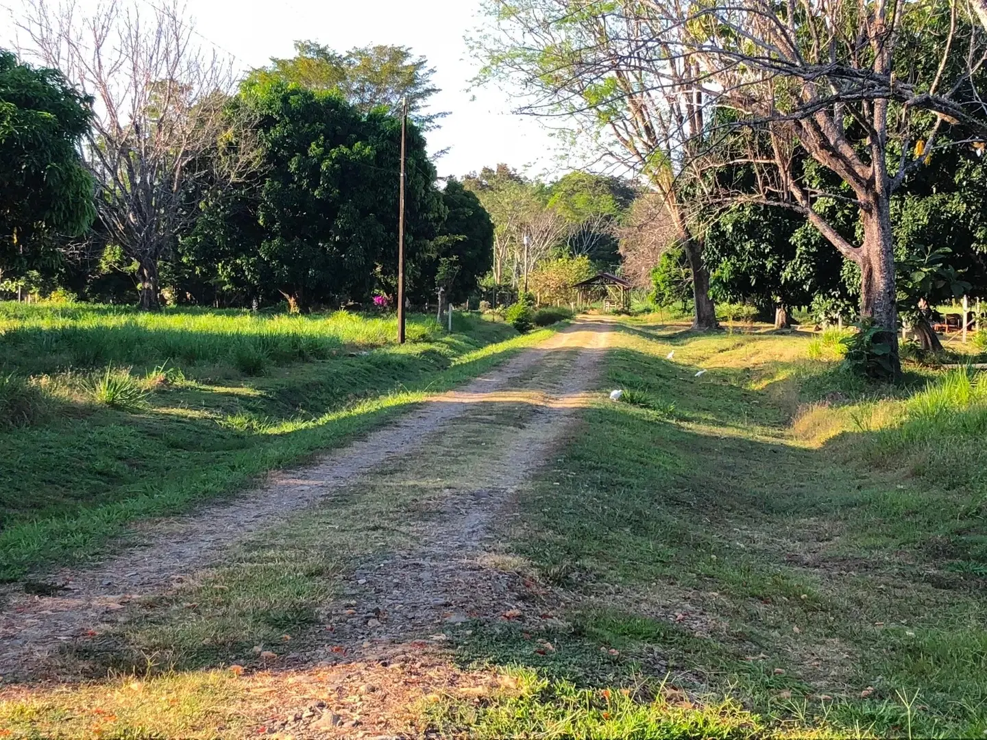 Terreno en Bahía Ballena