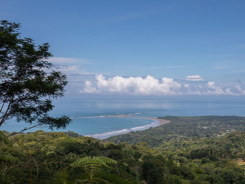 Land at Bahía Ballena