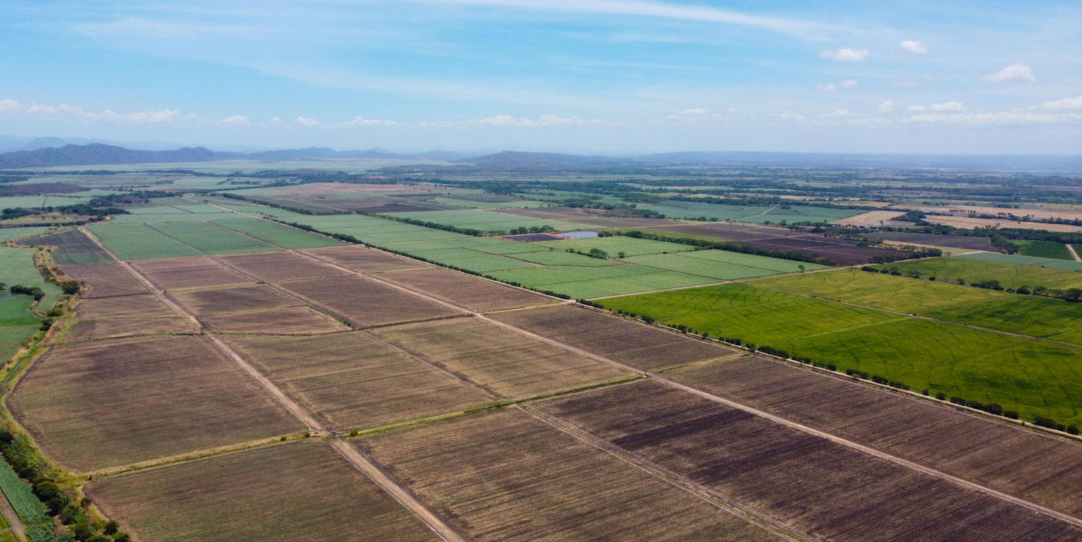 Property at Cañas