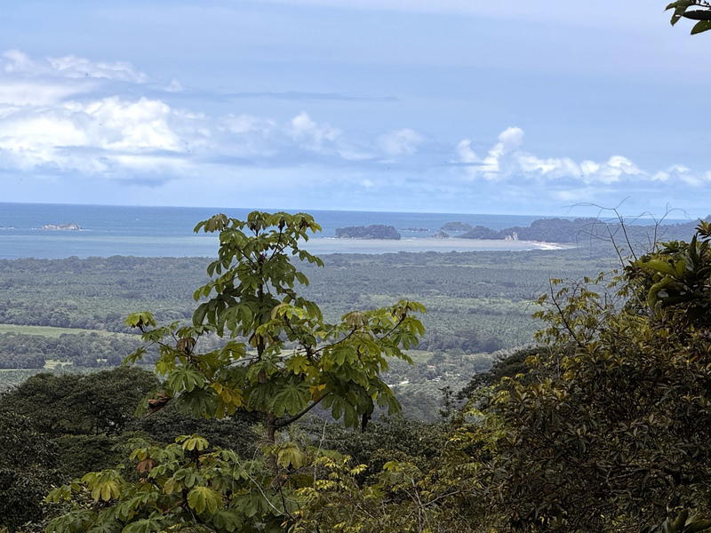 Land at Savegre