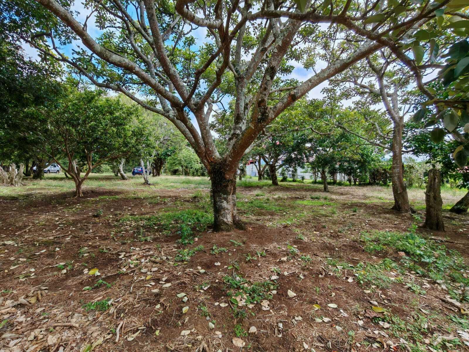 Property at Concepción