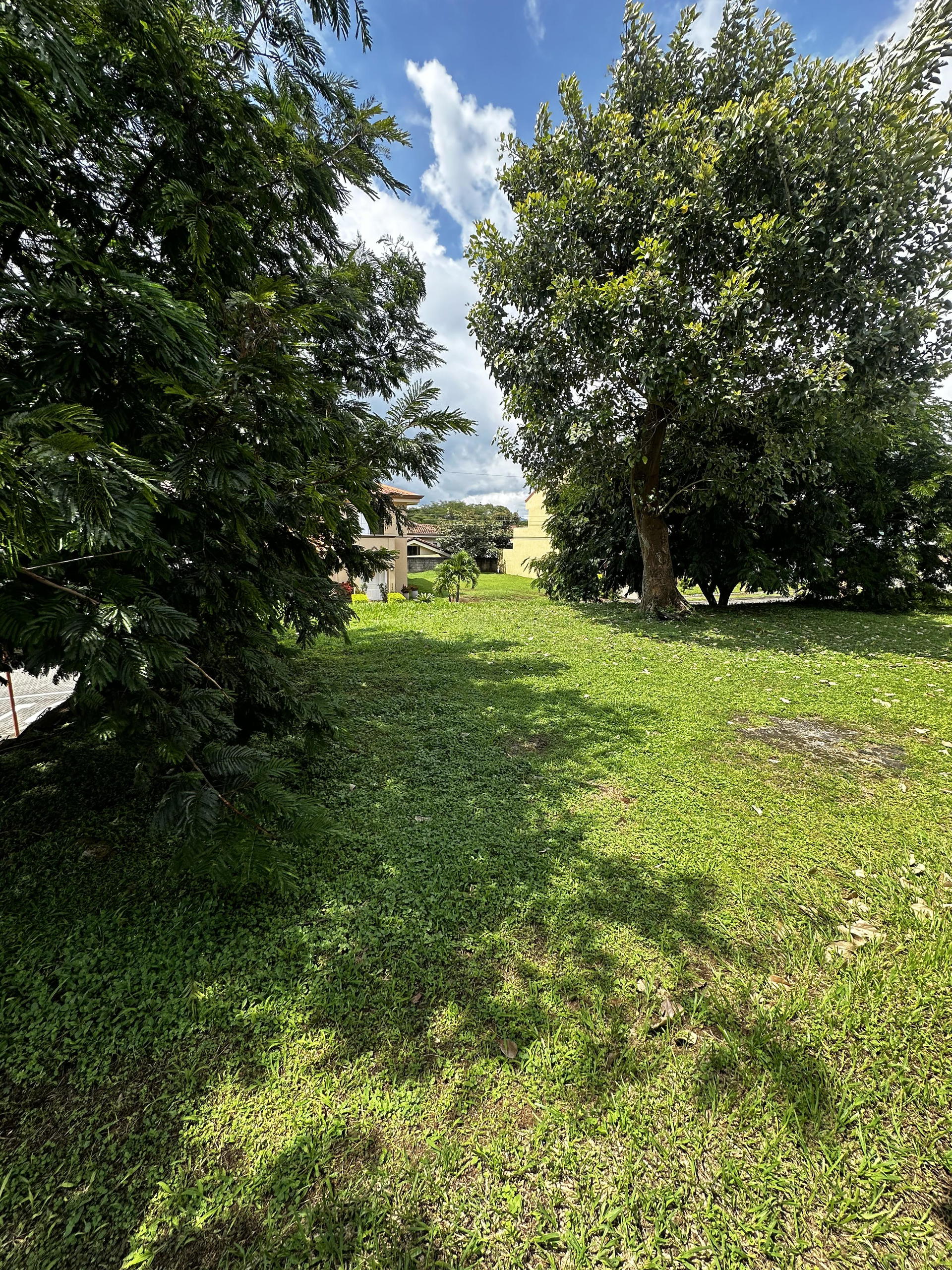 Land at Puente de Piedra