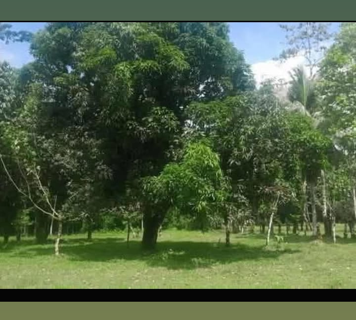 Terreno en Horquetas