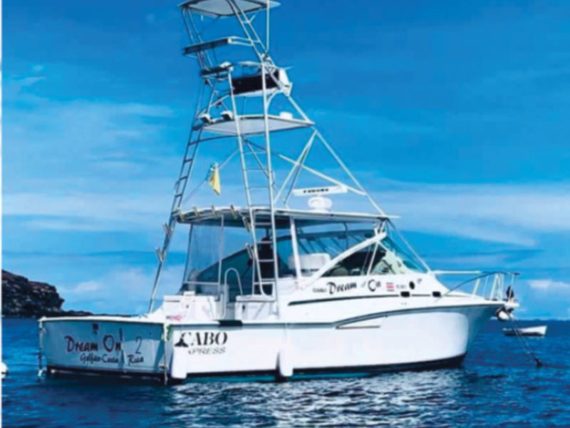 Commercial at Sardinal