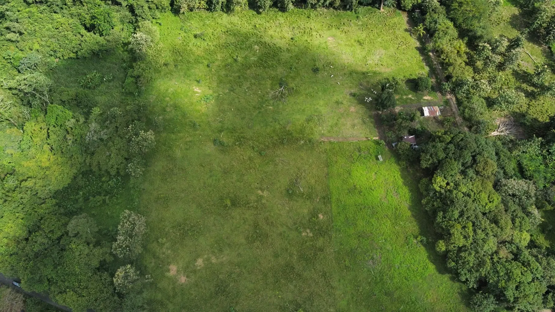 Land at Jacó