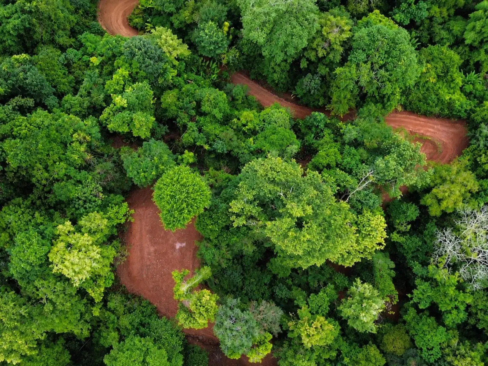 Terreno en Quepos