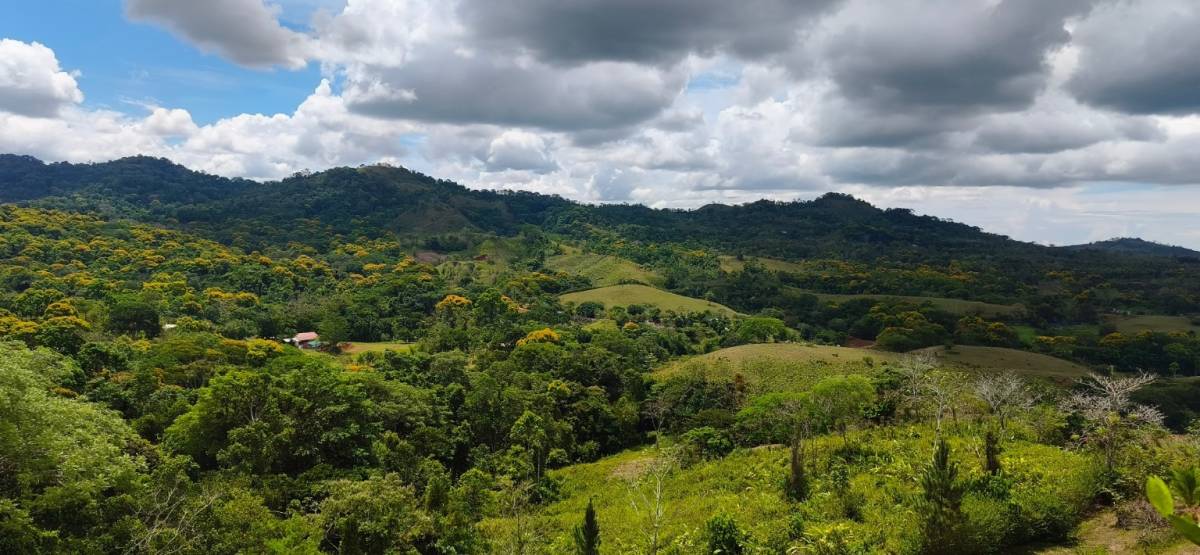Propiedad en Tarcolitos