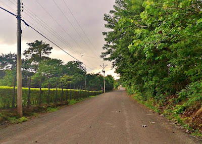 Quintas Casa De Campo