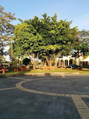 Condominio La Garita