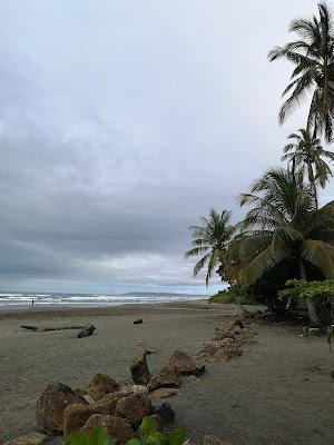 Vistas de Bejuco